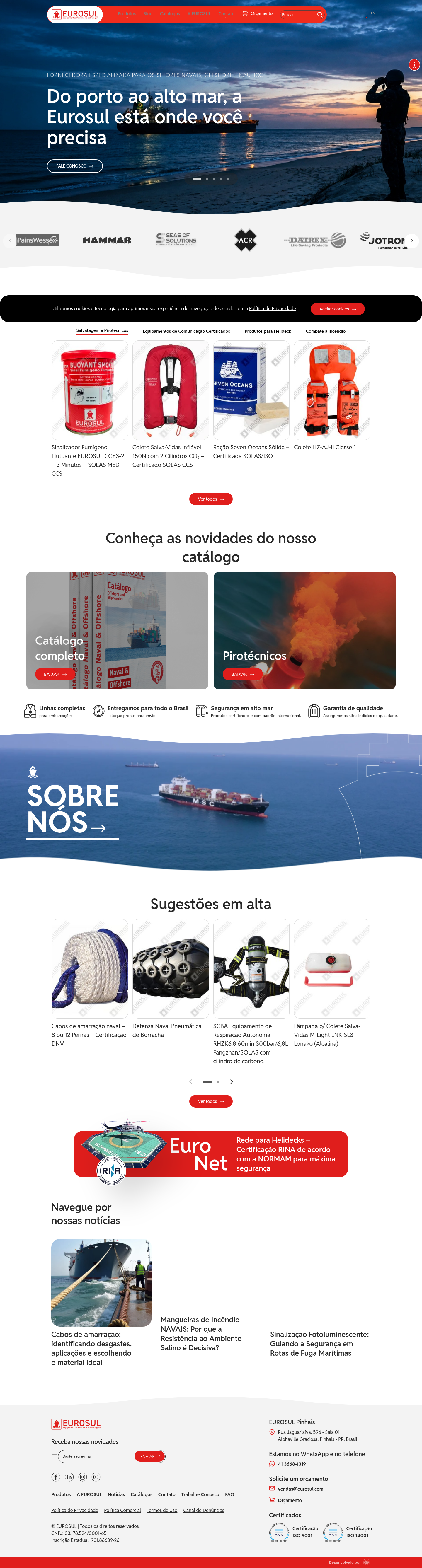 Entrada visual do site da Eurosul
